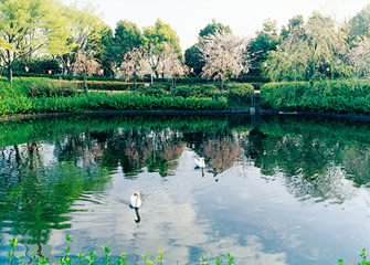 鹿ノ子池公園