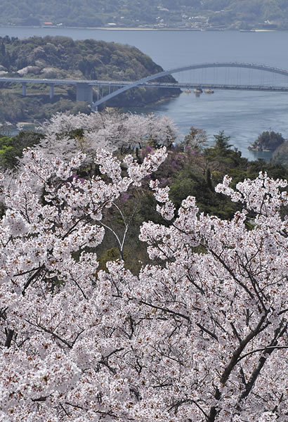 伯方島 開山