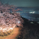 入選：海道の夜桜ハイキングコース