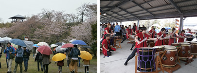 能島桜祭り