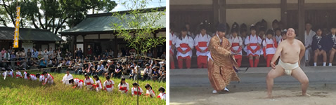 Setouchi Photography School