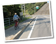 国道317号線 国道317号線