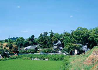 四国霊場54番札所 延命寺