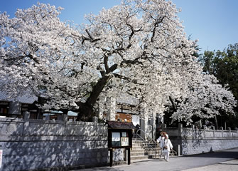 四国霊場59番札所 国分寺