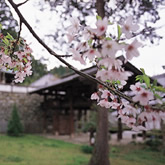 満願寺