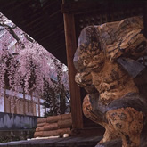 無量寺