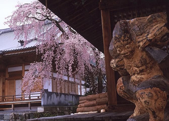 無量寺