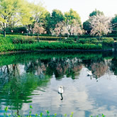 鹿ノ子池公園