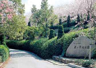 鹿ノ子池公園