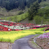 波方公園 波方公園