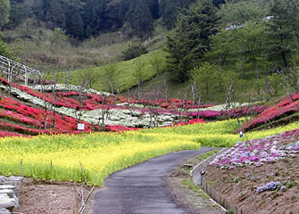波方公園 波方公園