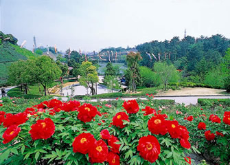 今治市民の森フラワーパーク(市制50年記念公園)