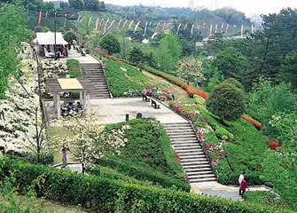 今治市民の森フラワーパーク(市制50年記念公園)