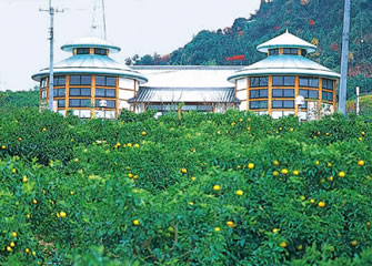 多々羅温泉 多々羅温泉