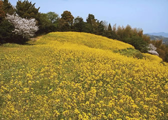 開山公園