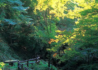 えひめの自然百選・歌仙公園