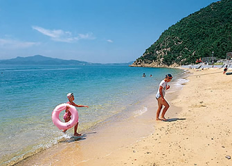 千年松海岸