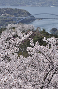 大三島橋