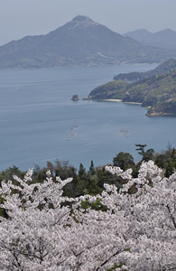 遠くに岩城島が見えます。