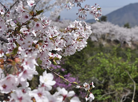 伯方島 開山