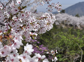 伯方島 開山