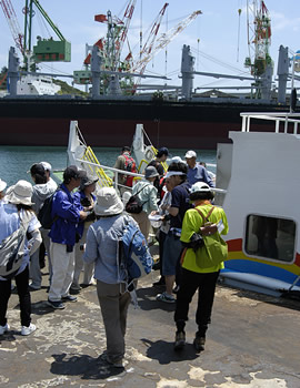 波止浜港 波止浜港