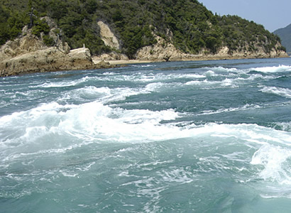 急流観潮船 急流観潮船