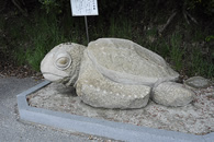 亀老山 亀老山