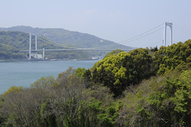 鶏小島キャンプ場 鶏小島キャンプ場