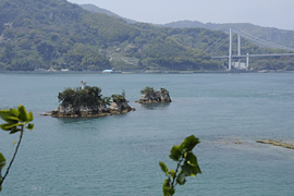 鶏小島キャンプ場 鶏小島キャンプ場