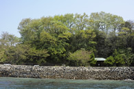 潮流体験 潮流体験