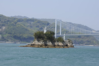潮流体験 潮流体験