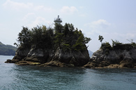 潮流体験 潮流体験