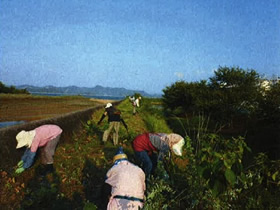 清掃中 清掃中