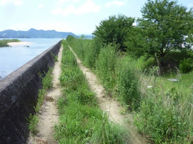 清掃前 清掃前