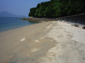 清掃後 清掃後