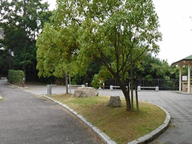 清掃後 清掃後