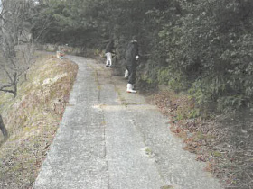 清掃中 清掃中