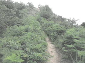 清掃前 清掃前