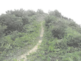 清掃後 清掃後