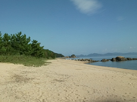 清掃後 清掃後