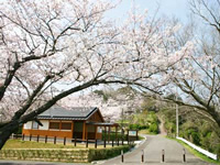 塔の峰 塔の峰