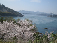 能島 能島