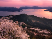 積善山 積善山