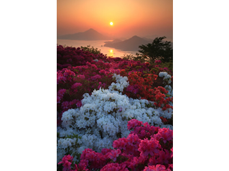 写真移動展 写真移動展