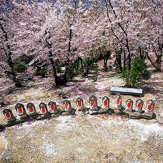 一席：地蔵と桜