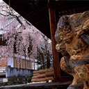 入選：風神寺