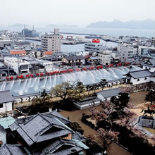 (社)今治地方国立公園協会 会長賞：一斉放水