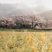 三席：霧のビューパーク玉川