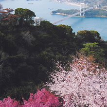 (社)今治地方国立公園協会 会長賞：春景